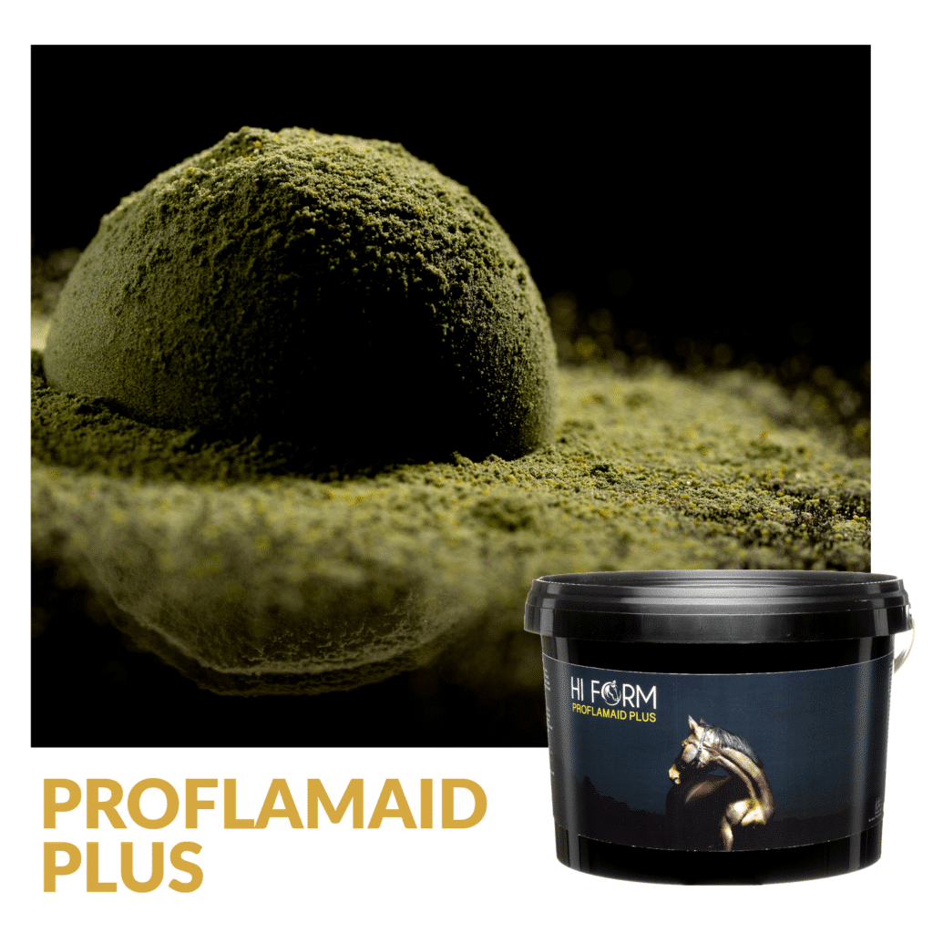 Hi Form Equine – Premium Horse Supplements