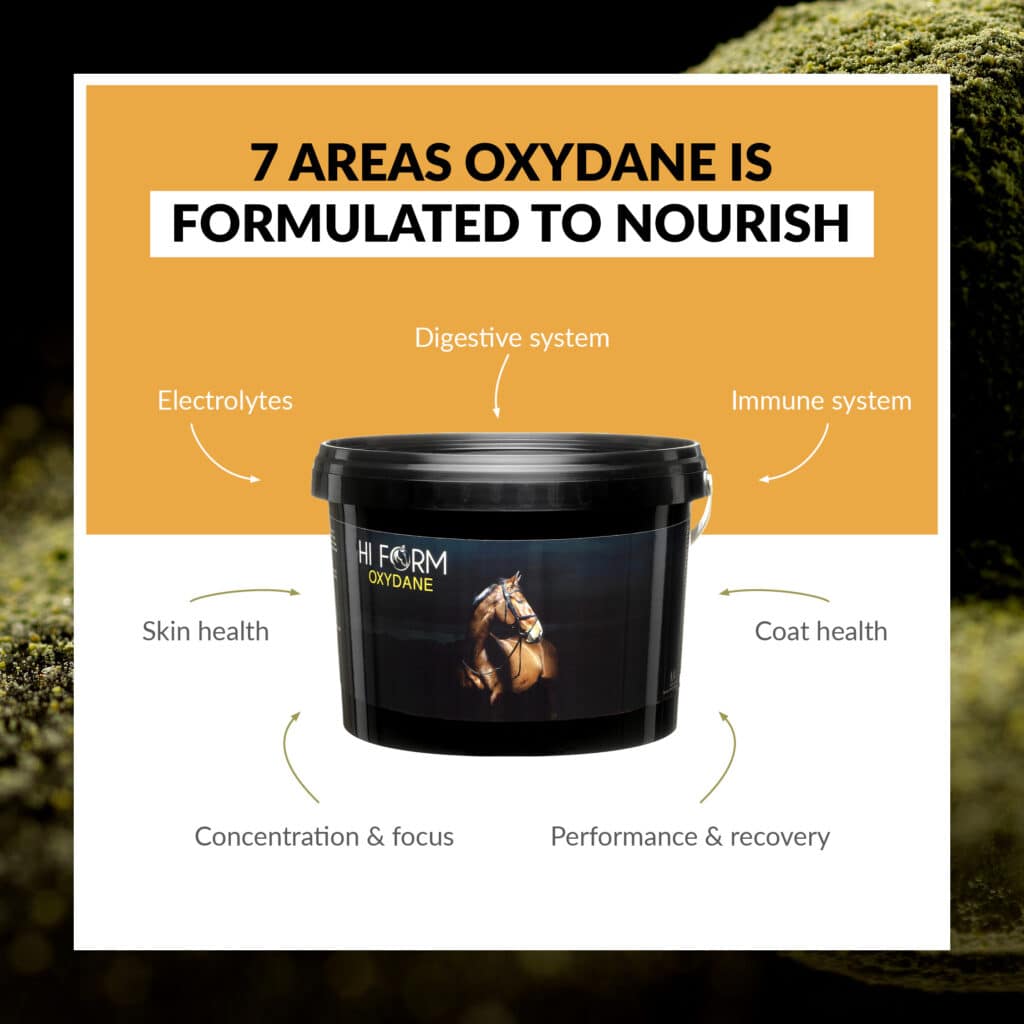 Hi Form Equine – Premium Horse Supplements