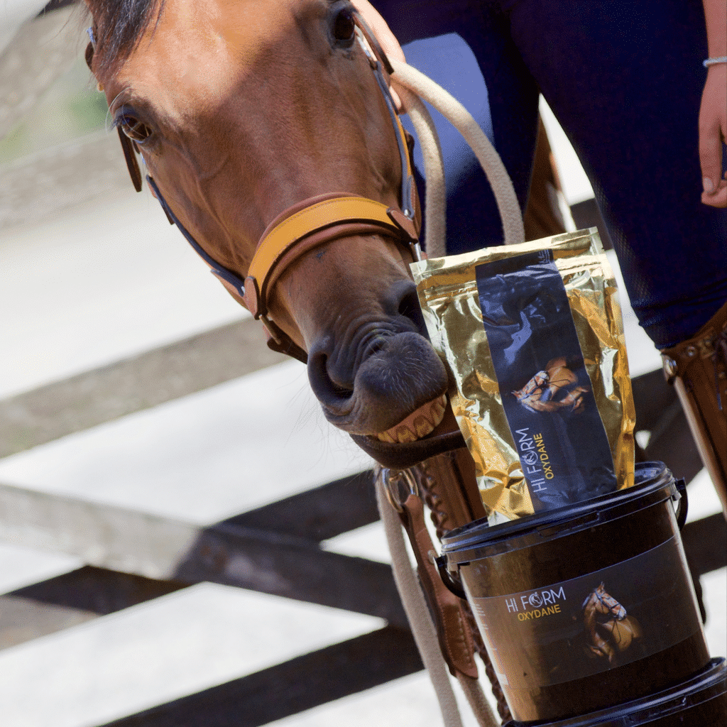 Hi Form Equine – Premium Horse Supplements