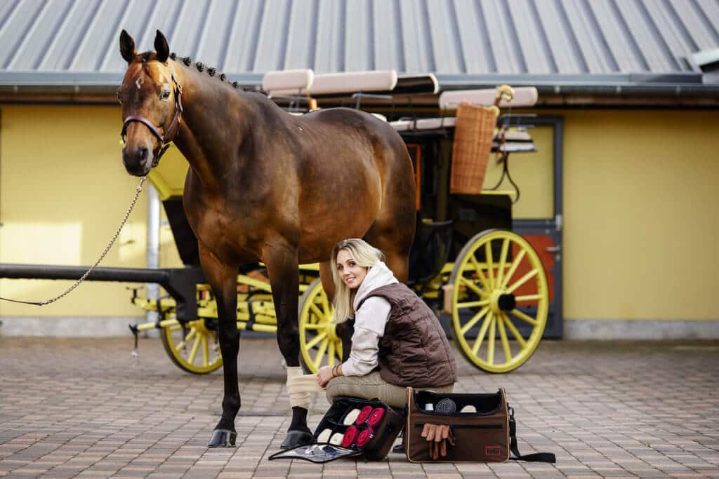 Hi Form Equine – Premium Horse Supplements