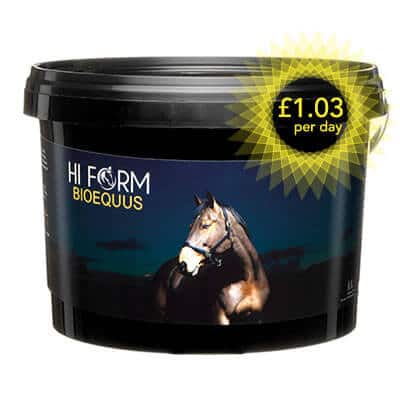 Hi Form Equine – Premium Horse Supplements