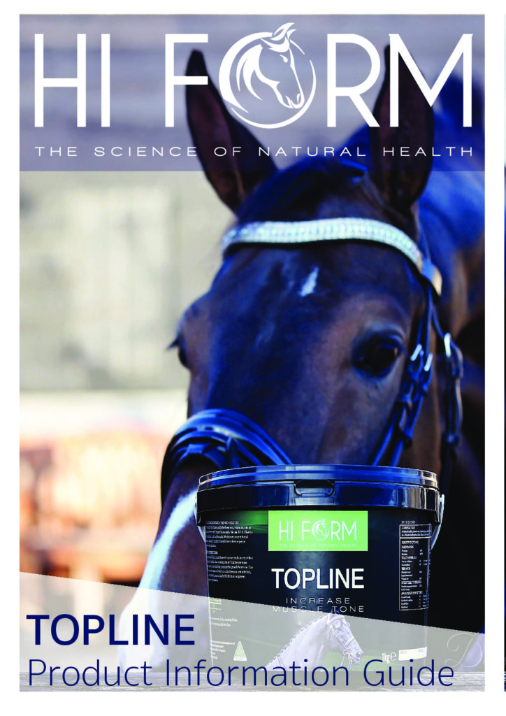 Hi Form Equine – Premium Horse Supplements