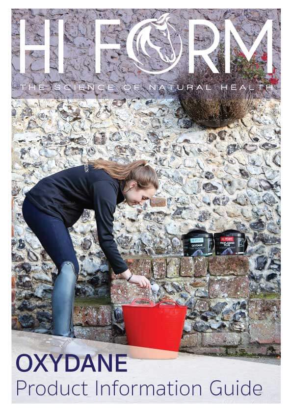 Hi Form Equine – Premium Horse Supplements