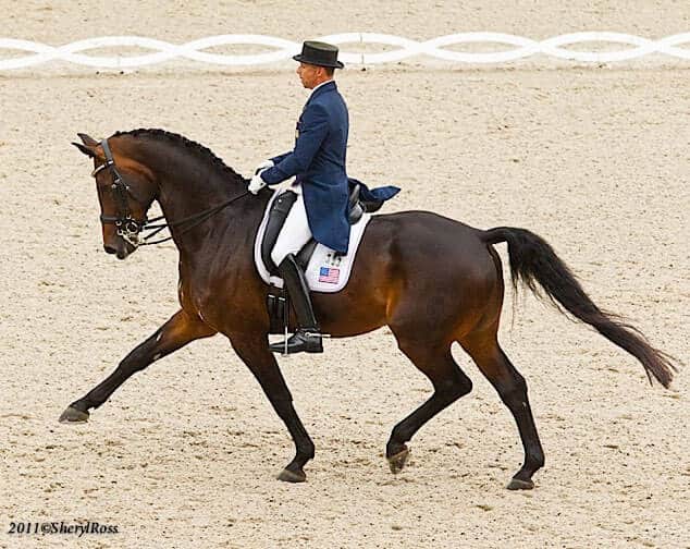 Hi Form Equine – Premium Horse Supplements