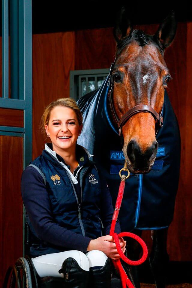 Hi Form Equine – Premium Horse Supplements