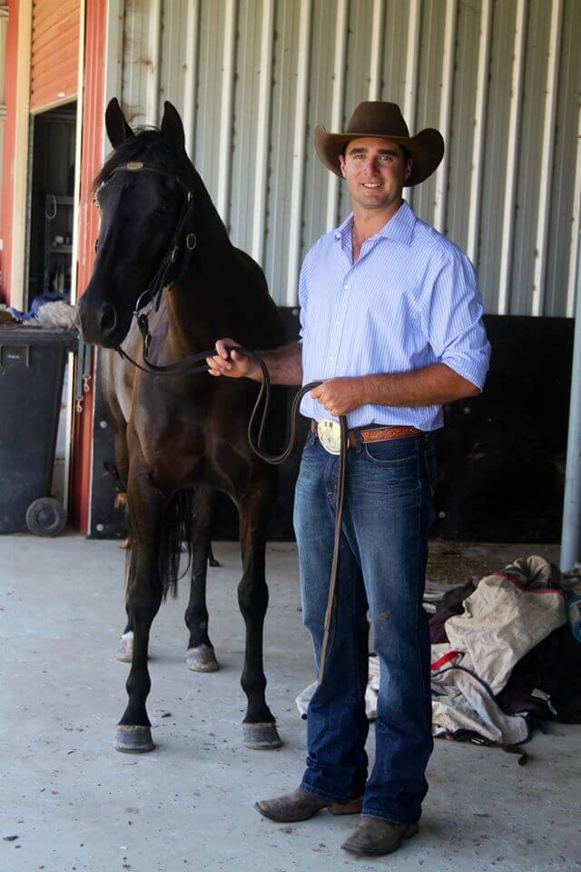 Hi Form Equine – Premium Horse Supplements