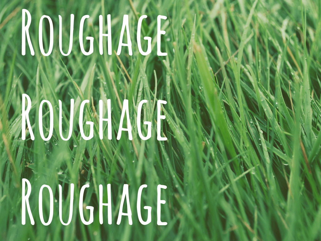 Hi Form Equine – Premium Horse Supplements