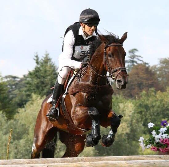 Hi Form Equine – Premium Horse Supplements