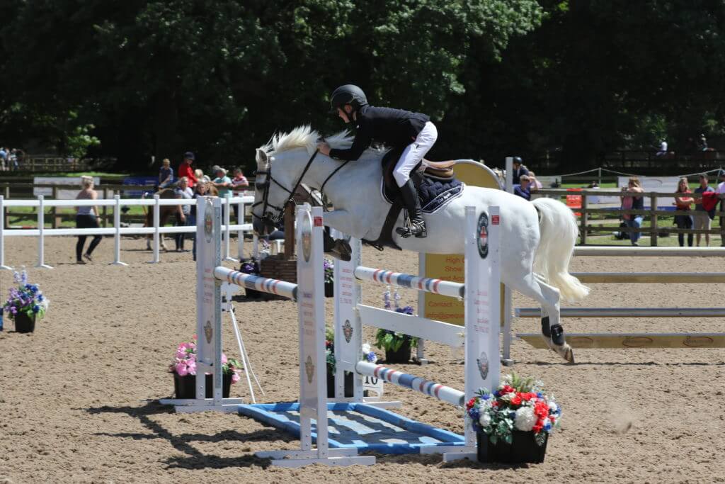 Hi Form Equine – Premium Horse Supplements