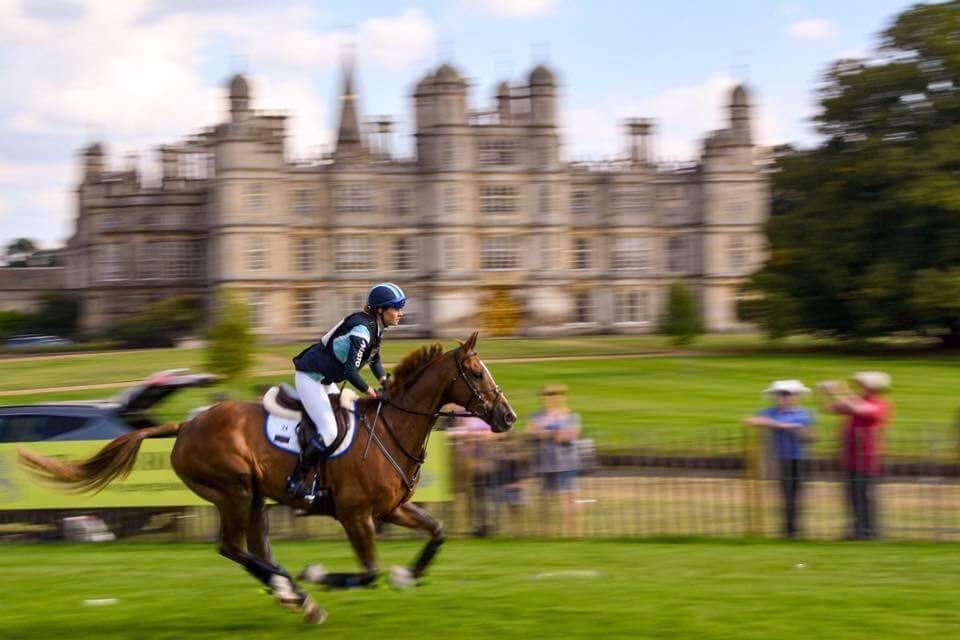 Hi Form Equine – Premium Horse Supplements