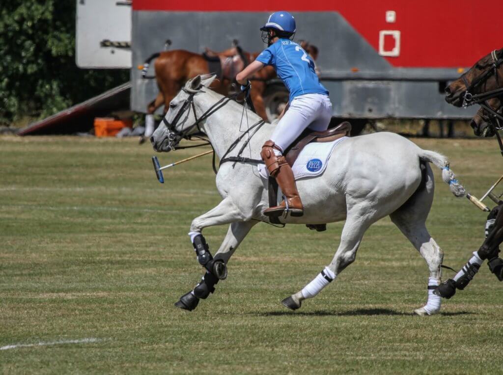 Hi Form Equine – Premium Horse Supplements