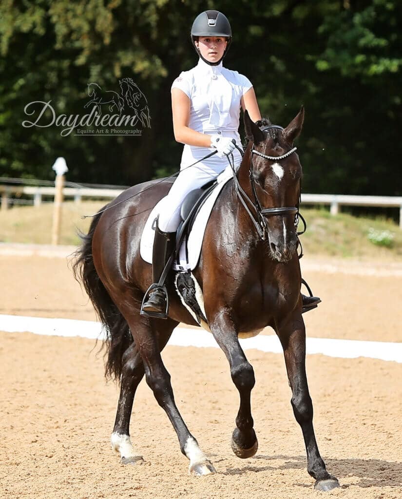 Hi Form Equine – Premium Horse Supplements