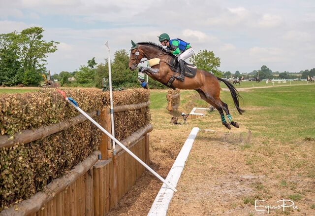 Hi Form Equine – Premium Horse Supplements