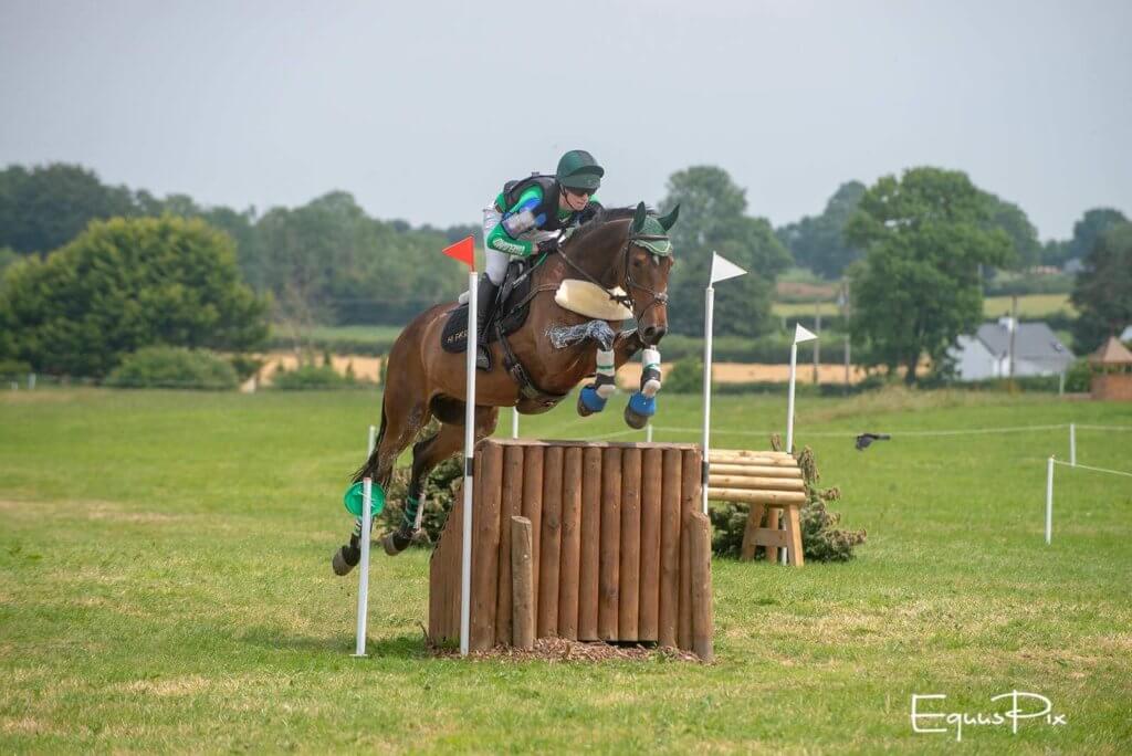 Hi Form Equine – Premium Horse Supplements