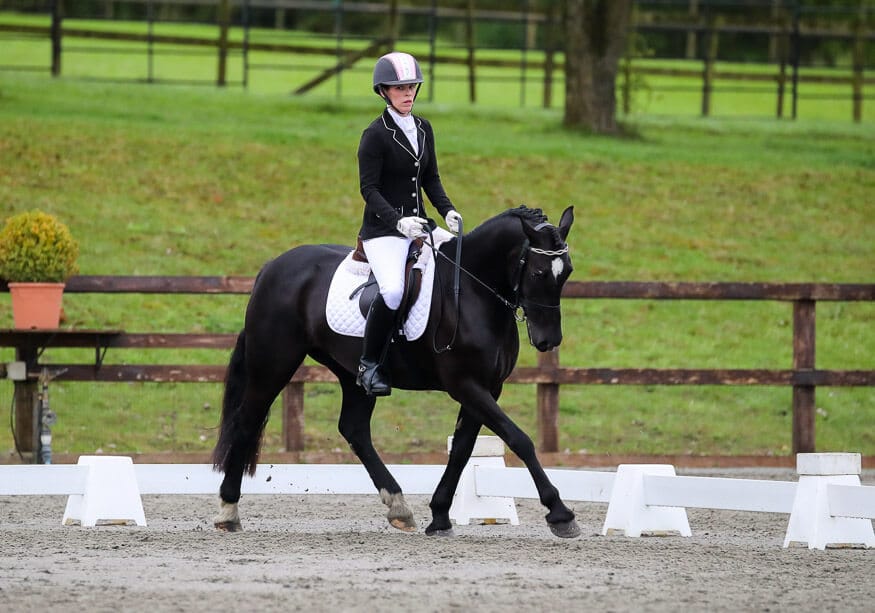 Hi Form Equine – Premium Horse Supplements