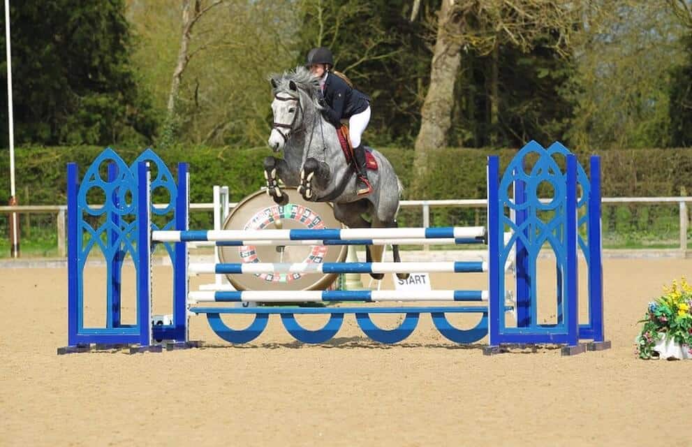 Hi Form Equine – Premium Horse Supplements