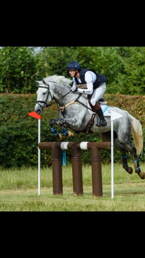 Hi Form Equine – Premium Horse Supplements