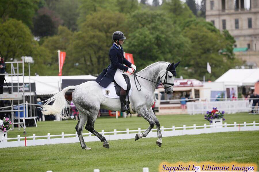 Hi Form Equine – Premium Horse Supplements