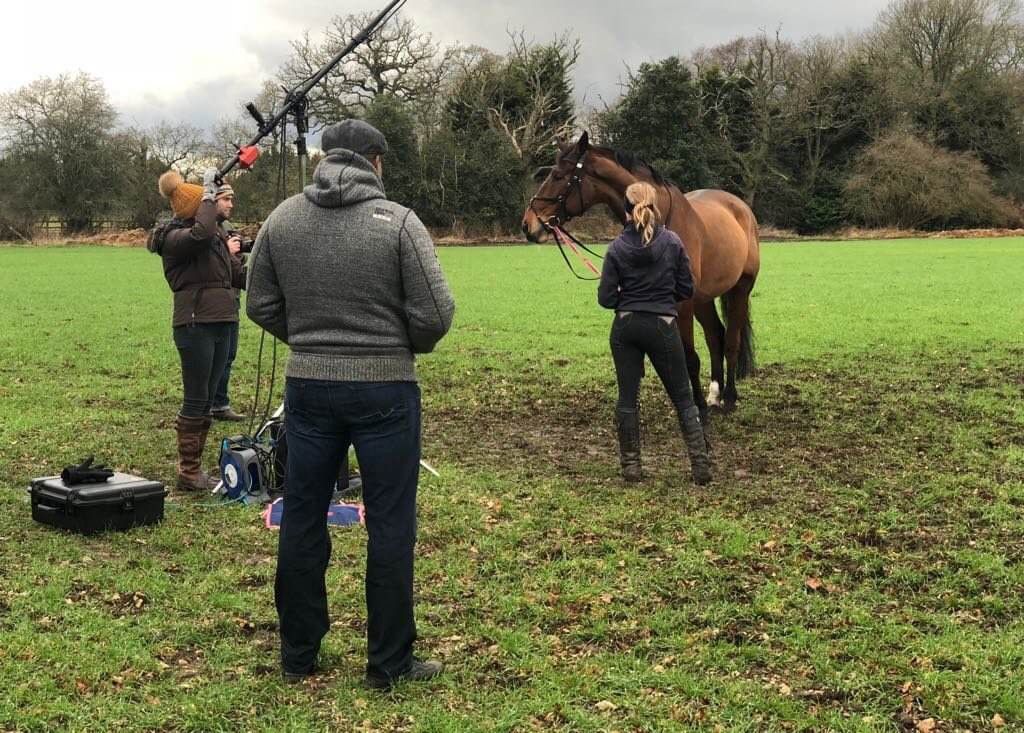 Hi Form Equine – Premium Horse Supplements