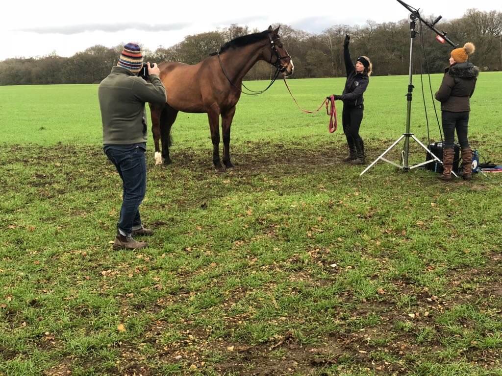 Hi Form Equine – Premium Horse Supplements