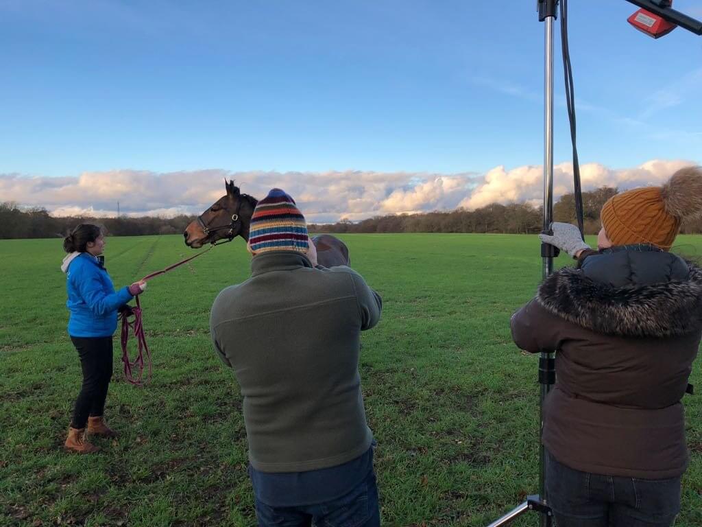 Hi Form Equine – Premium Horse Supplements