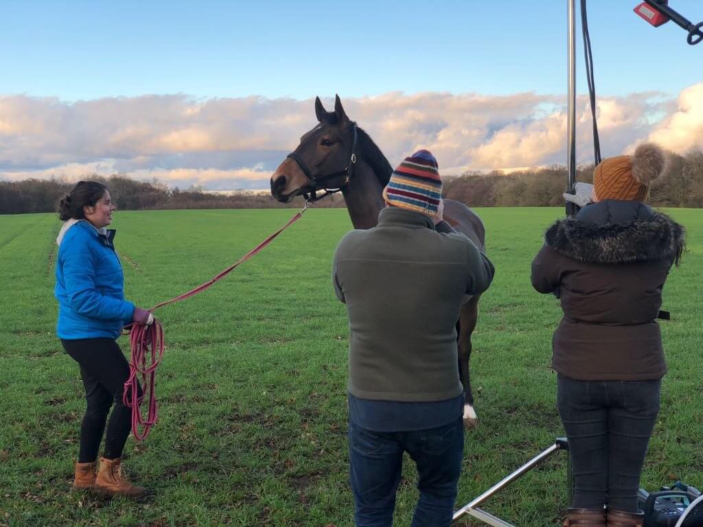 Hi Form Equine – Premium Horse Supplements