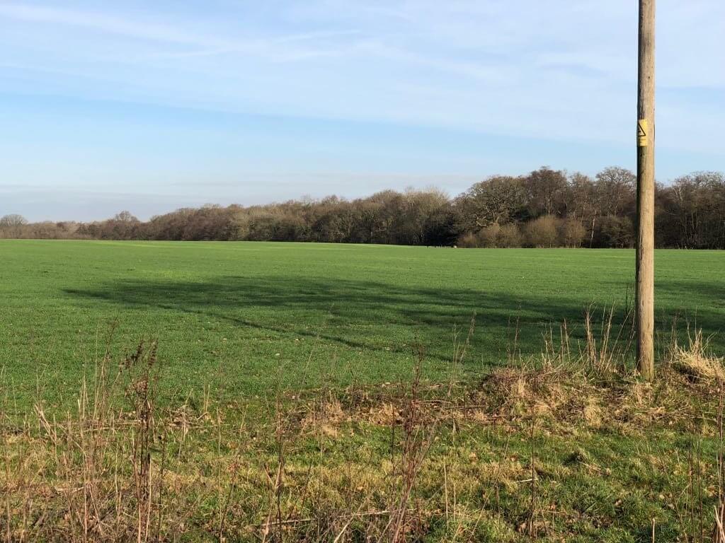 Hi Form Equine – Premium Horse Supplements