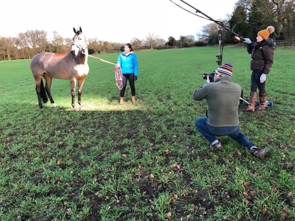 Hi Form Equine – Premium Horse Supplements