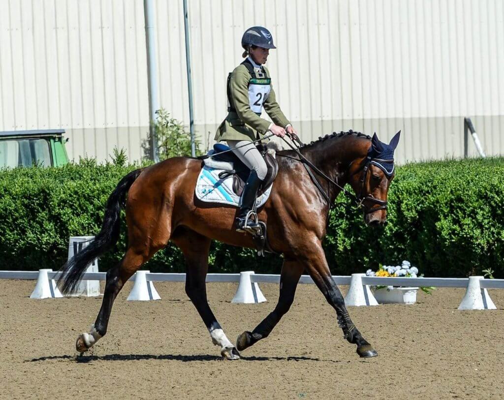 Hi Form Equine – Premium Horse Supplements