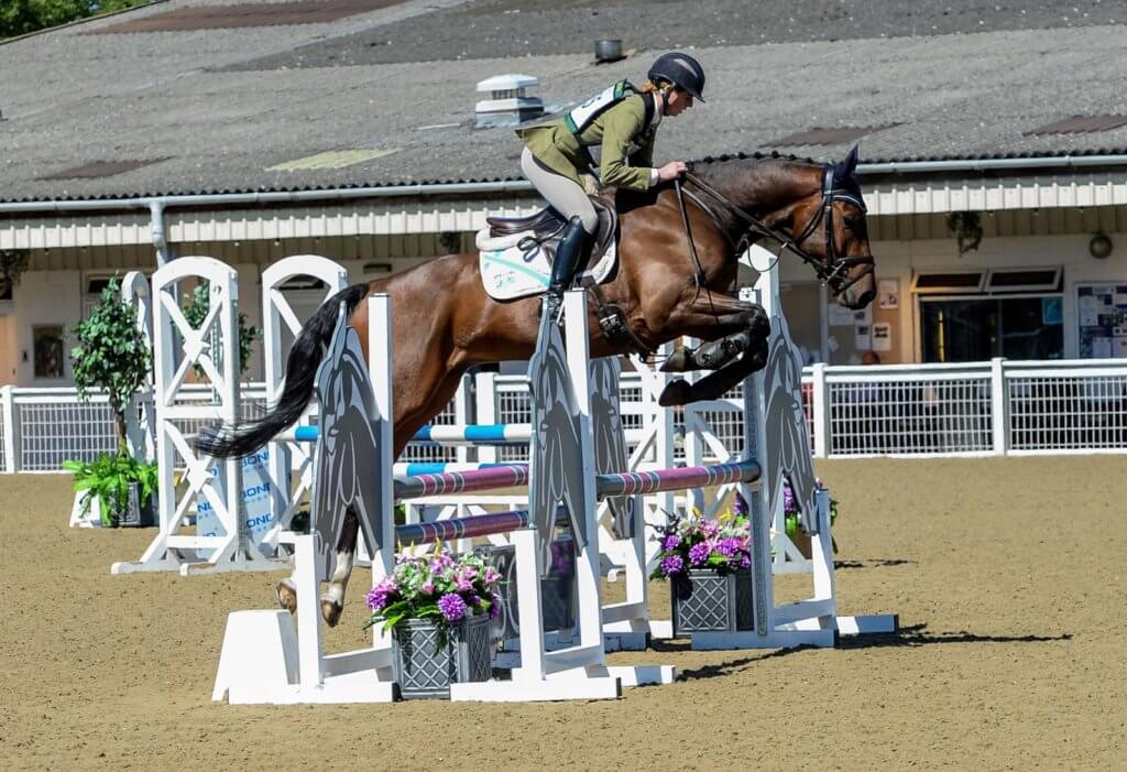 Hi Form Equine – Premium Horse Supplements