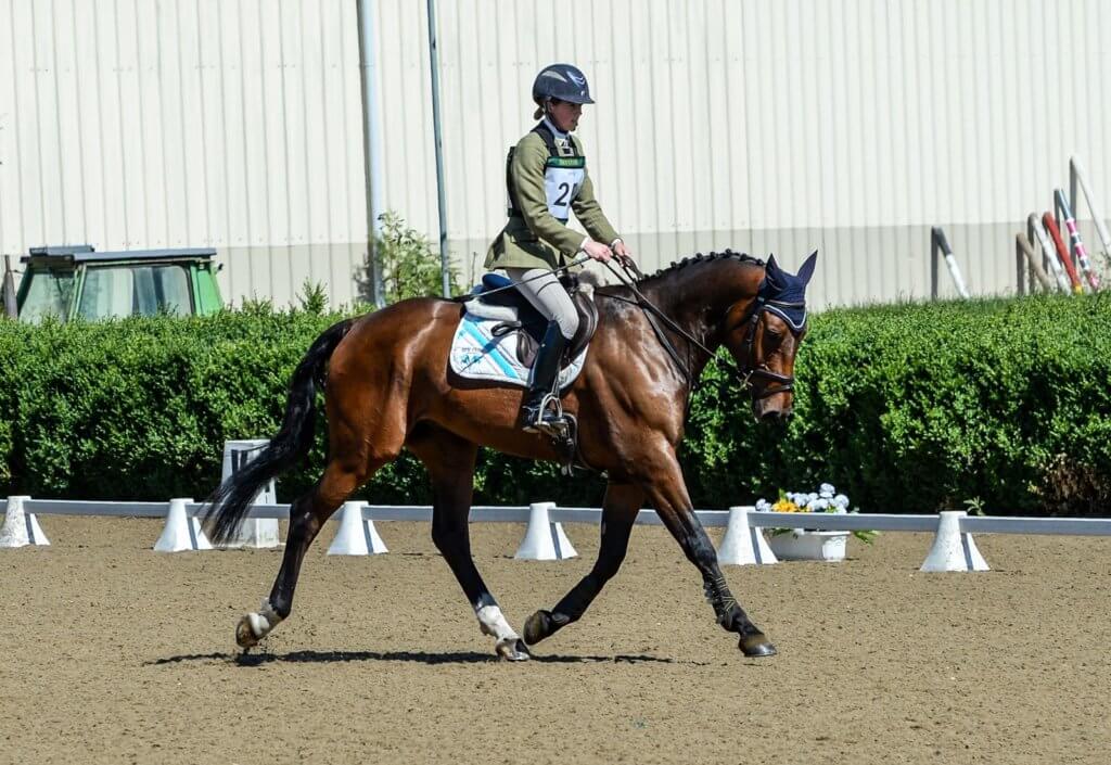 Hi Form Oxydane and Topline After - Alex Tordoff