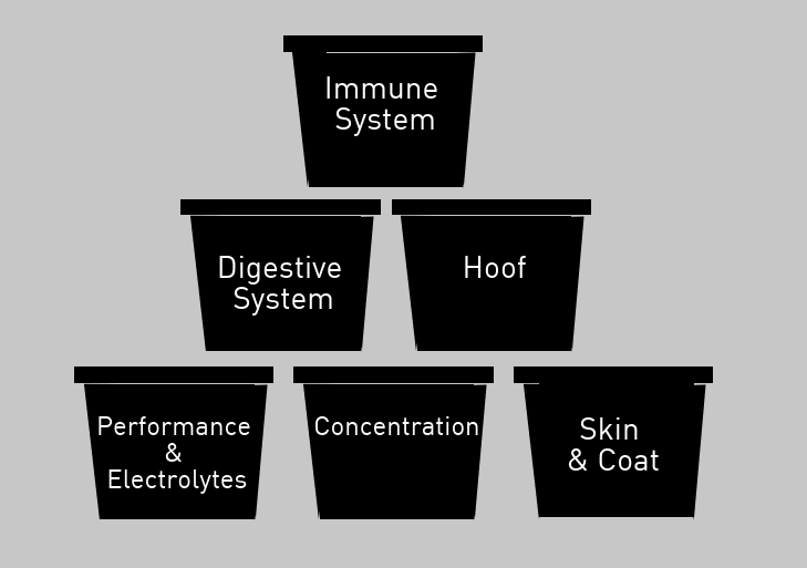 Hi Form Equine – Premium Horse Supplements