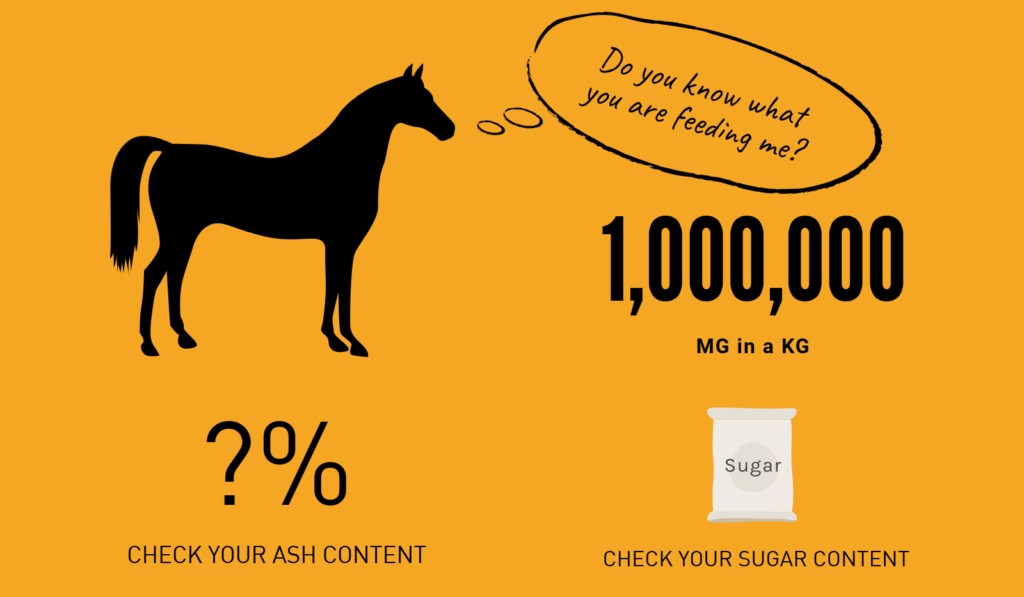 Hi Form Equine – Premium Horse Supplements