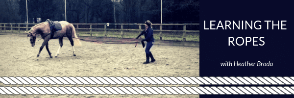 Hi Form Learning the ropes