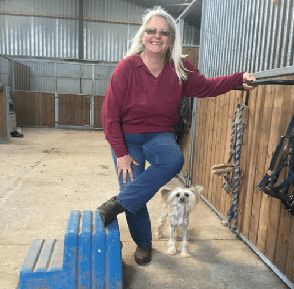 Hi Form Equine – Premium Horse Supplements