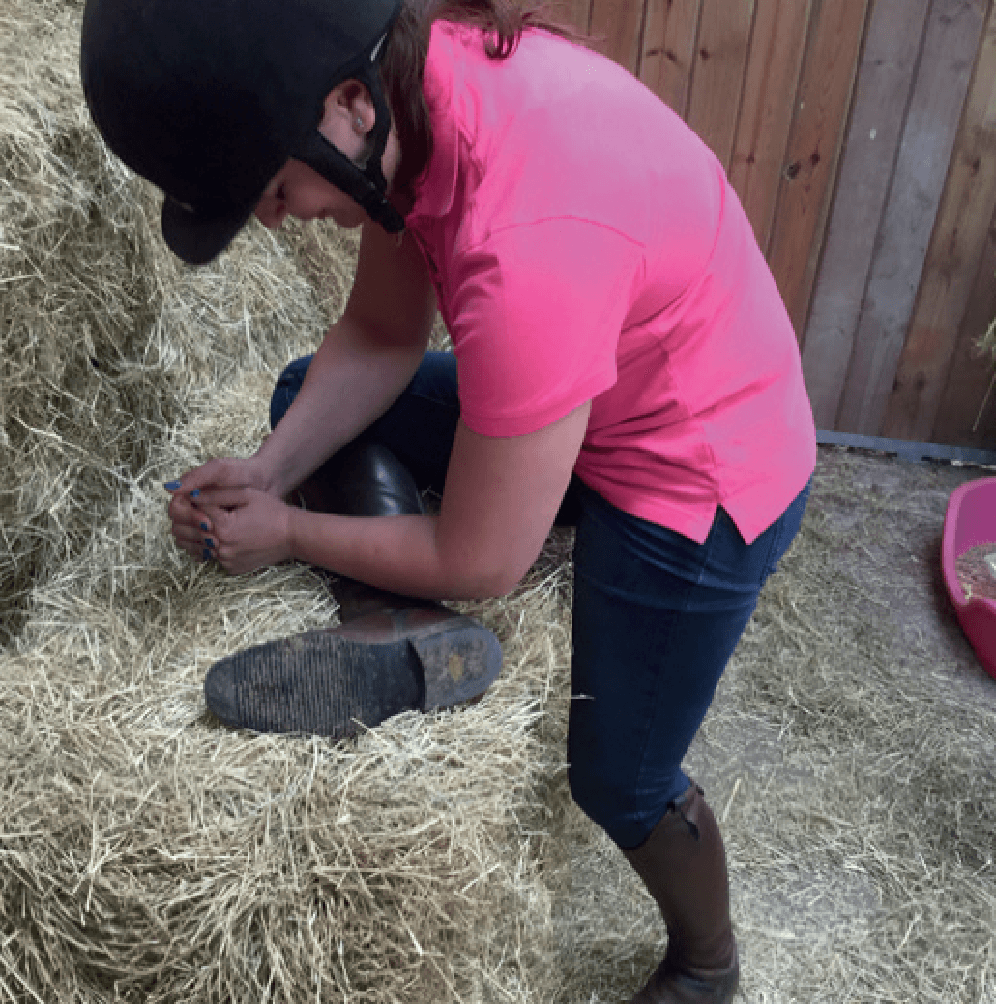 Hi Form Equine – Premium Horse Supplements