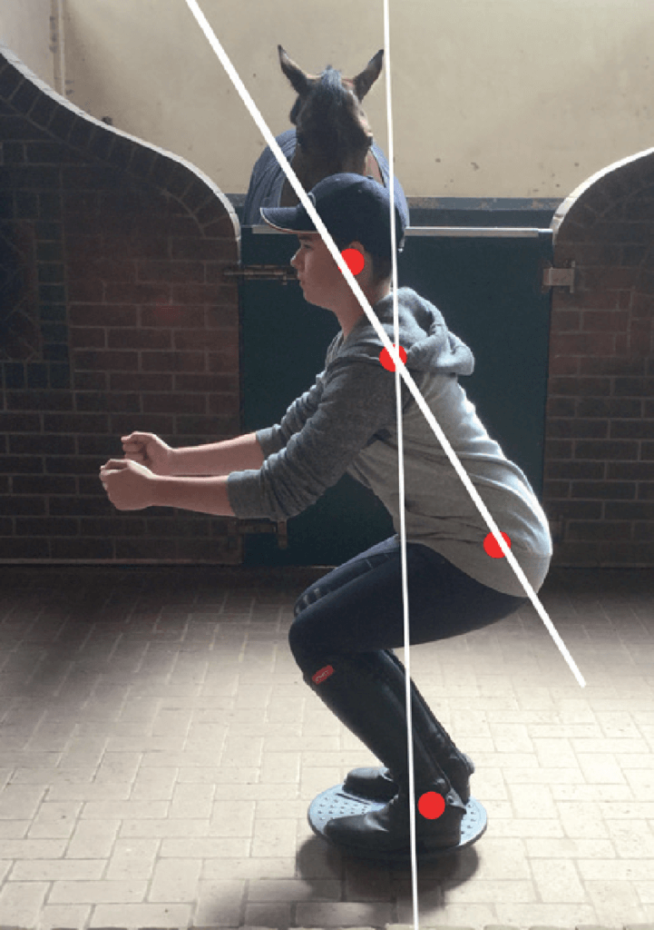 Hi Form Equine – Premium Horse Supplements