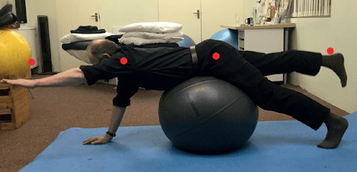 Hi Form Equine – Premium Horse Supplements