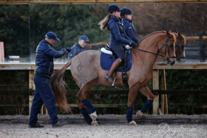 Hi Form Giles' Focus