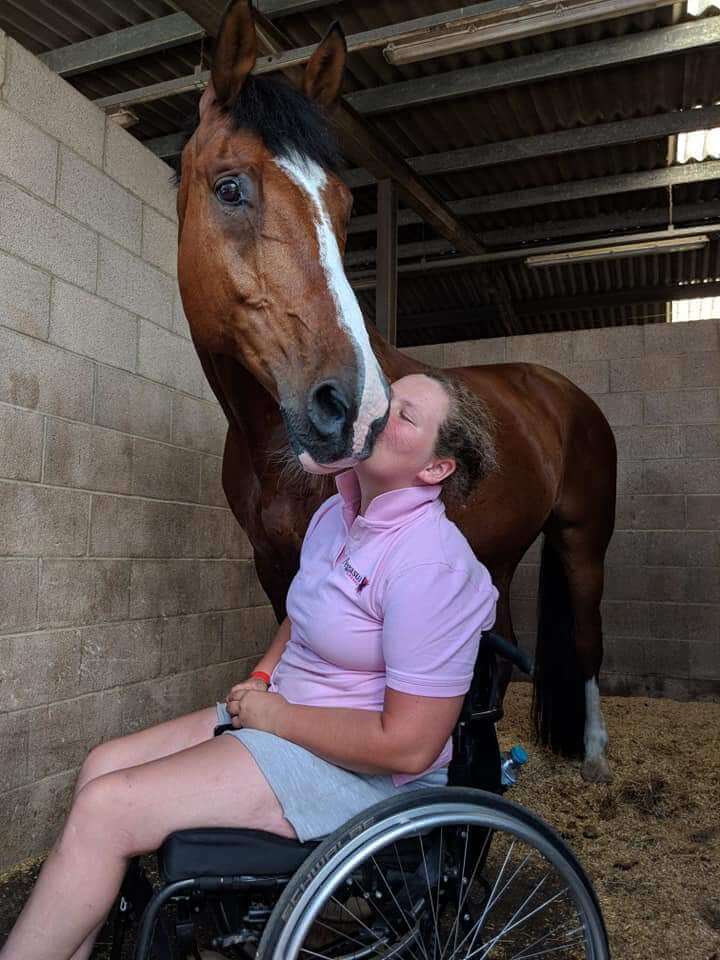 Hi Form Equine – Premium Horse Supplements