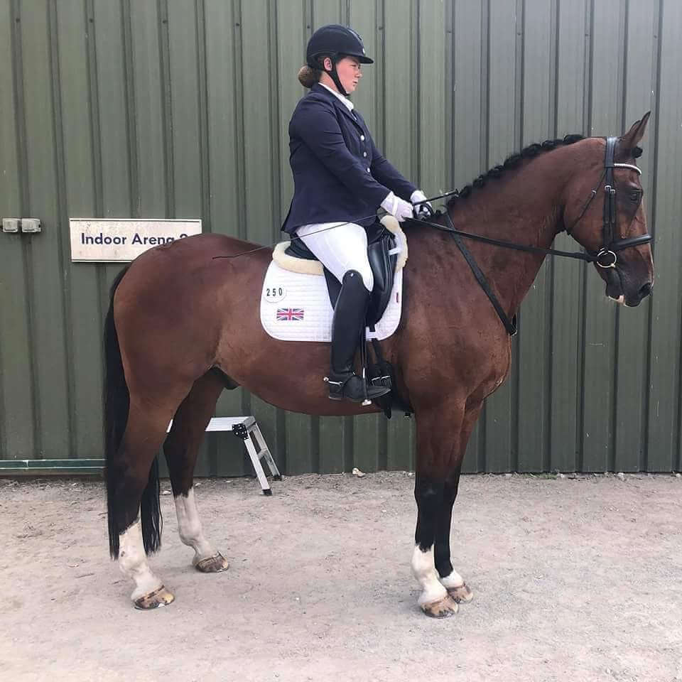 Hi Form Equine – Premium Horse Supplements