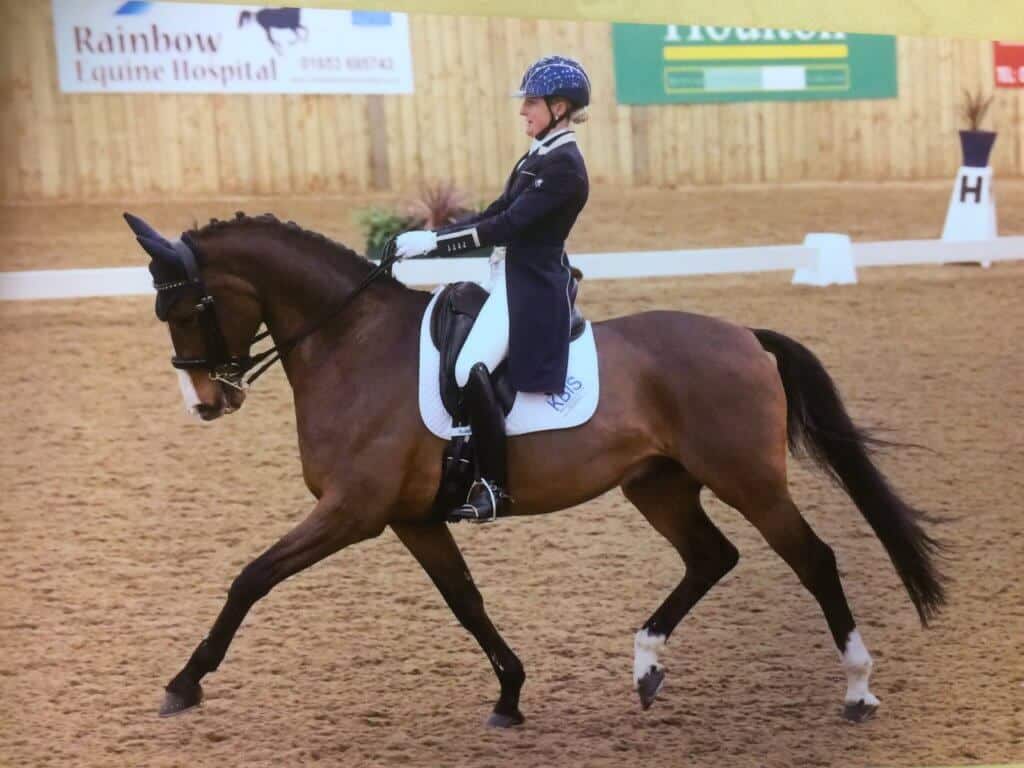 Hi Form Equine – Premium Horse Supplements