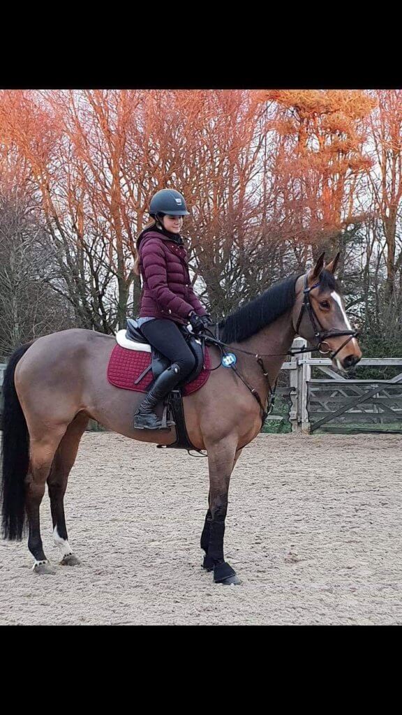 Hi Form Equine – Premium Horse Supplements