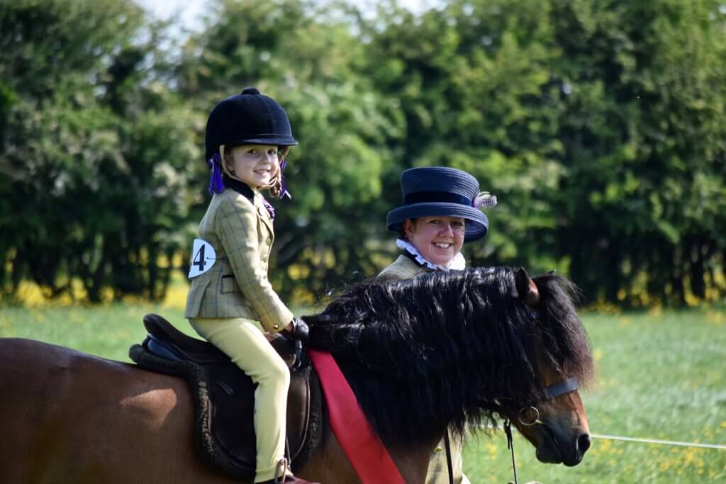 Hi Form Equine – Premium Horse Supplements