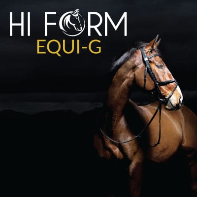 Hi Form Equine – Premium Horse Supplements