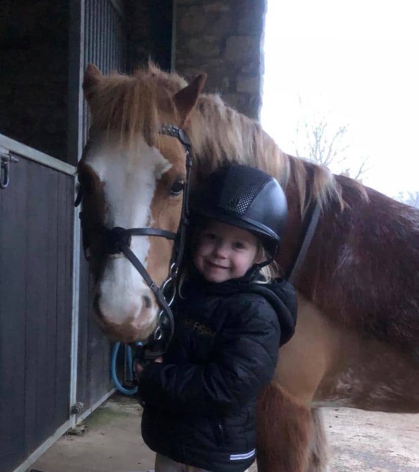 Hi Form Equine – Premium Horse Supplements