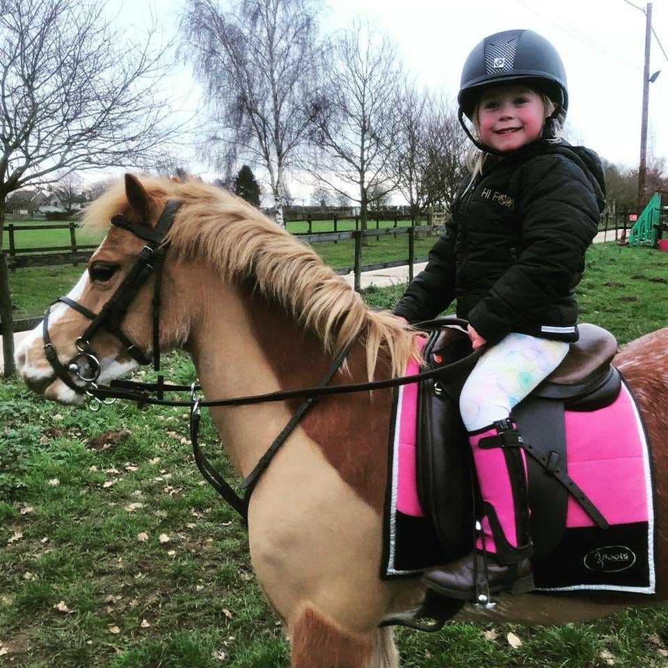 Hi Form Equine – Premium Horse Supplements