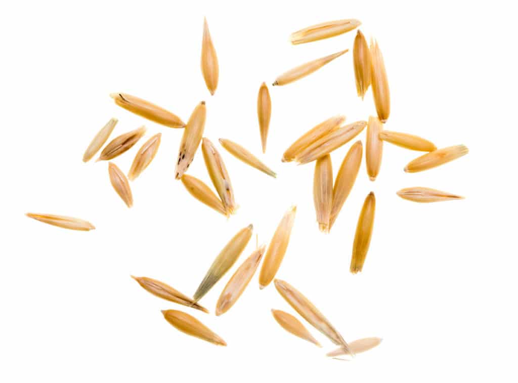 Hi Form Equine – Premium Horse Supplements