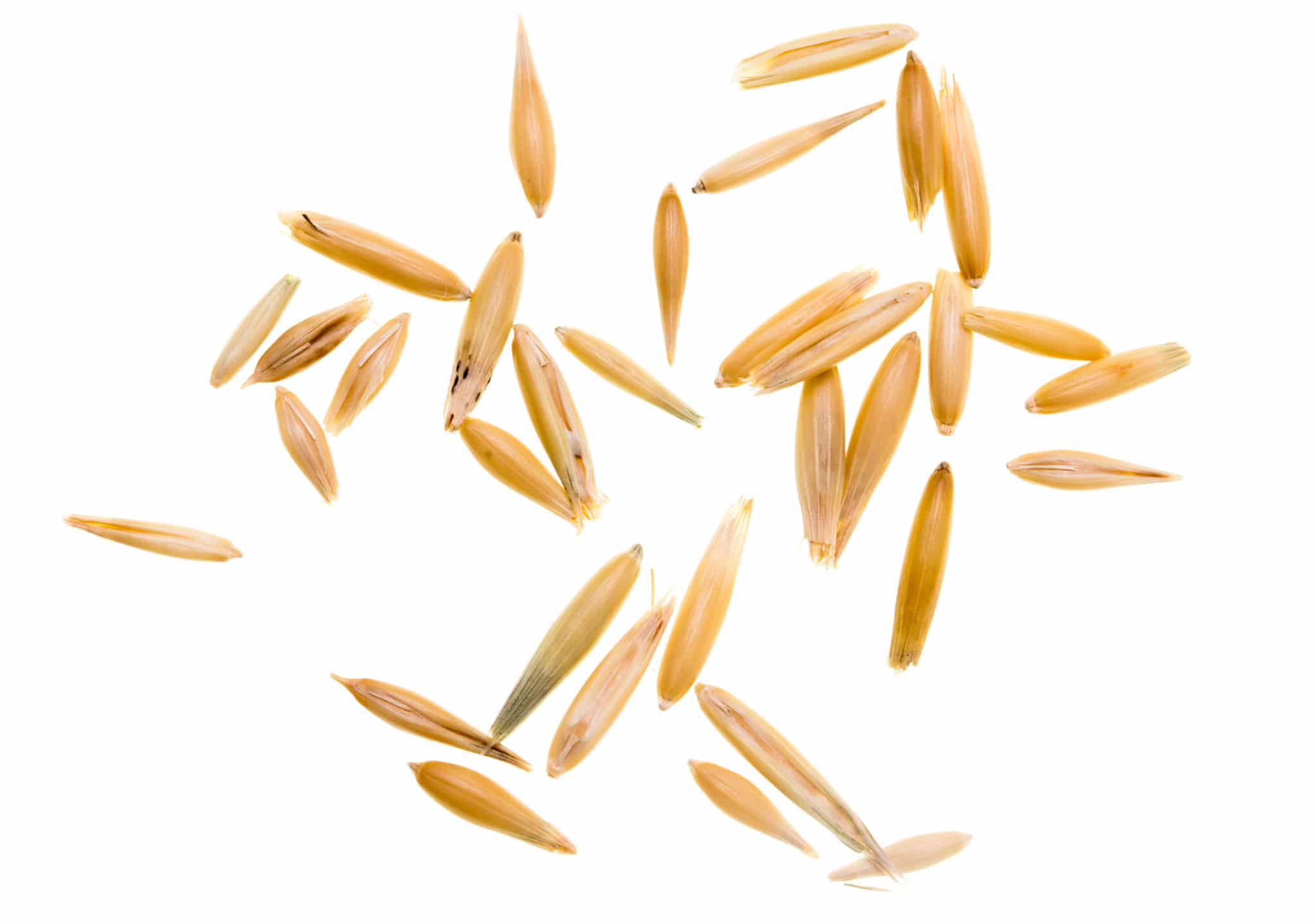 Hi Form Feeding Guide - Oats