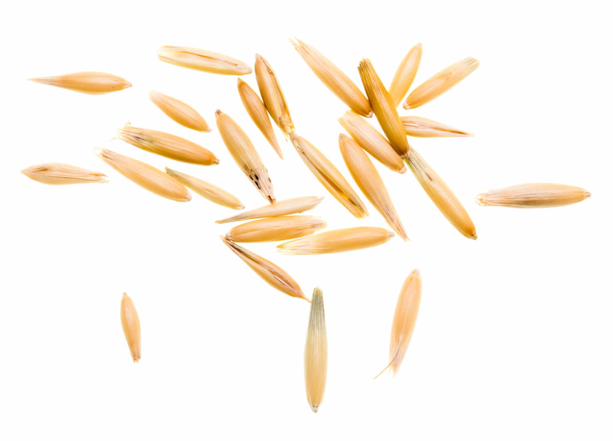 Hi Form Feeding Guide - Oats